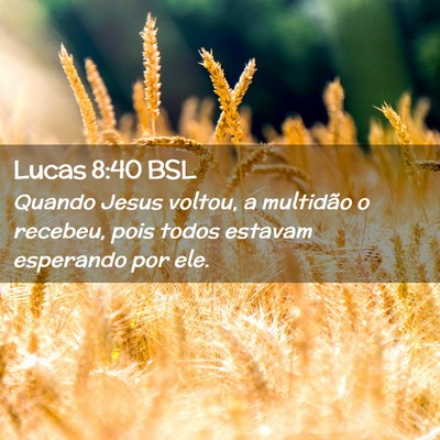 Picture 02 - Lucas 8:40 BSL - Quando Jesus voltou, a multidão o recebeu, pois - Bible Verse Picture