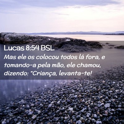 Picture 02 - Lucas 8:54 BSL - Mas ele os colocou todos lá fora, e tomando-a - Bible Verse Picture