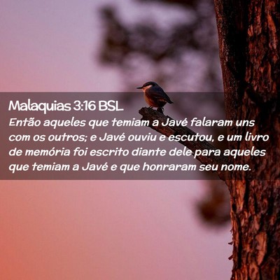 Picture 02 - Malaquias 3:16 BSL - Então aqueles que temiam a Javé falaram uns com - Bible Verse Picture