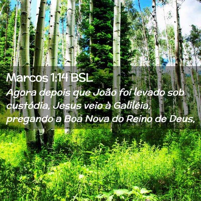 Picture 02 - Marcos 1:14 BSL - Agora depois que João foi levado sob custódia, - Bible Verse Picture