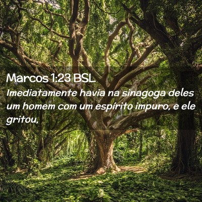 Picture 02 - Marcos 1:23 BSL - Imediatamente havia na sinagoga deles um homem - Bible Verse Picture