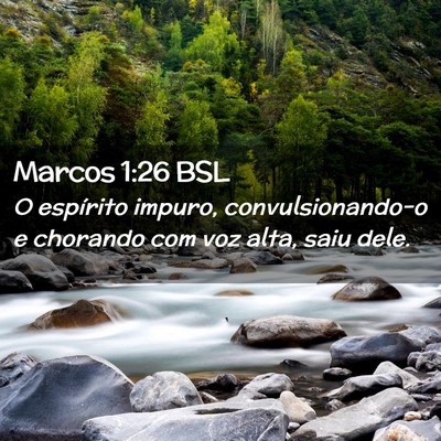 Picture 02 - Marcos 1:26 BSL - O espírito impuro, convulsionando-o e chorando - Bible Verse Picture