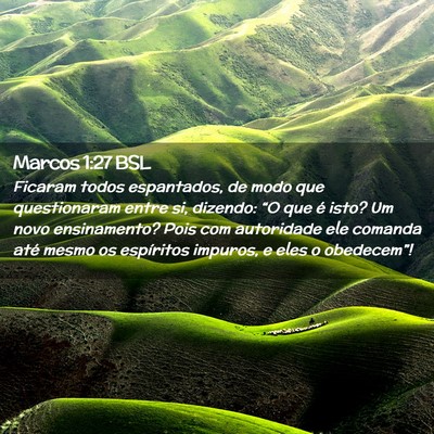 Picture 02 - Marcos 1:27 BSL - Ficaram todos espantados, de modo que - Bible Verse Picture