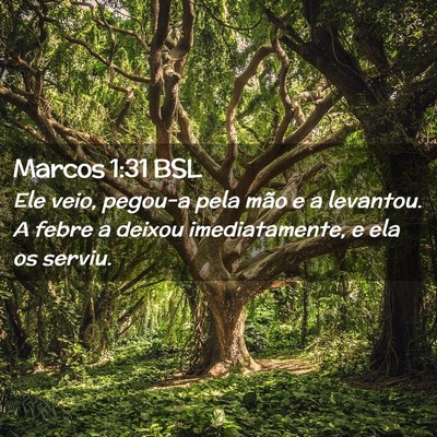 Picture 02 - Marcos 1:31 BSL - Ele veio, pegou-a pela mão e a levantou. A febre - Bible Verse Picture