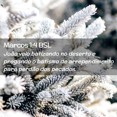 Picture 02 - Marcos 1:4 BSL - João veio batizando no deserto e pregando o - Bible Verse Picture