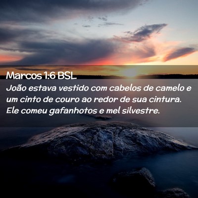 Picture 02 - Marcos 1:6 BSL - João estava vestido com cabelos de camelo e um - Bible Verse Picture