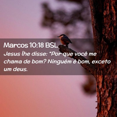 Picture 02 - Marcos 10:18 BSL - Jesus lhe disse: “Por que você me chama de - Bible Verse Picture