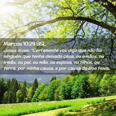 Picture 02 - Marcos 10:29 BSL - Jesus disse: “Certamente vos digo que não há - Bible Verse Picture