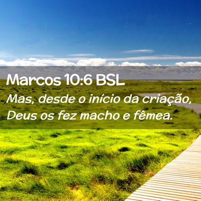 Picture 02 - Marcos 10:6 BSL - Mas, desde o início da criação, Deus os fez - Bible Verse Picture