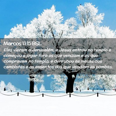Picture 02 - Marcos 11:15 BSL - Eles vieram a Jerusalém, e Jesus entrou no - Bible Verse Picture