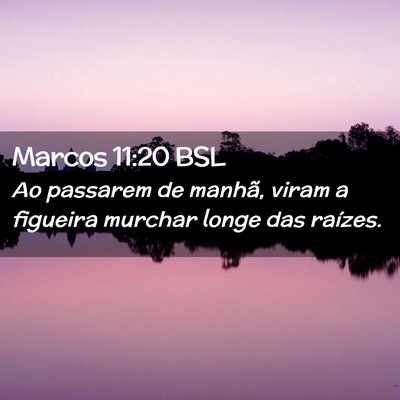 Picture 02 - Marcos 11:20 BSL - Ao passarem de manhã, viram a figueira murchar - Bible Verse Picture