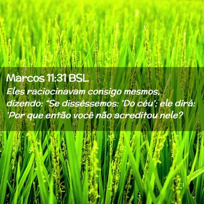 Picture 02 - Marcos 11:31 BSL - Eles raciocinavam consigo mesmos, dizendo: “Se - Bible Verse Picture