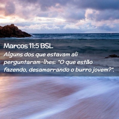 Picture 02 - Marcos 11:5 BSL - Alguns dos que estavam ali perguntaram-lhes: “O - Bible Verse Picture