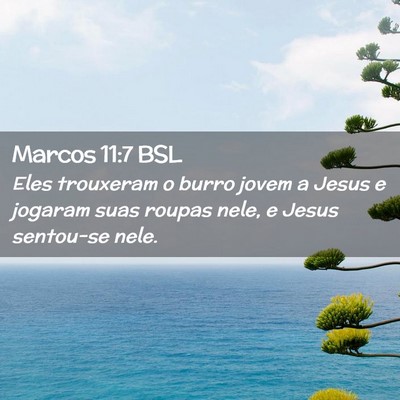 Picture 02 - Marcos 11:7 BSL - Eles trouxeram o burro jovem a Jesus e jogaram - Bible Verse Picture