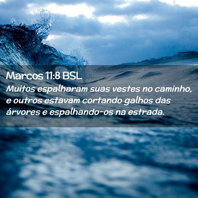 Picture 02 - Marcos 11:8 BSL - Muitos espalharam suas vestes no caminho, e - Bible Verse Picture