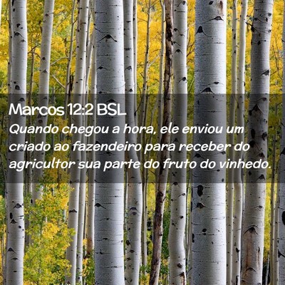 Picture 02 - Marcos 12:2 BSL - Quando chegou a hora, ele enviou um criado ao - Bible Verse Picture