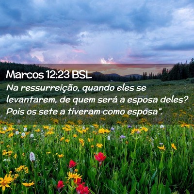 Picture 02 - Marcos 12:23 BSL - Na ressurreição, quando eles se levantarem, de - Bible Verse Picture