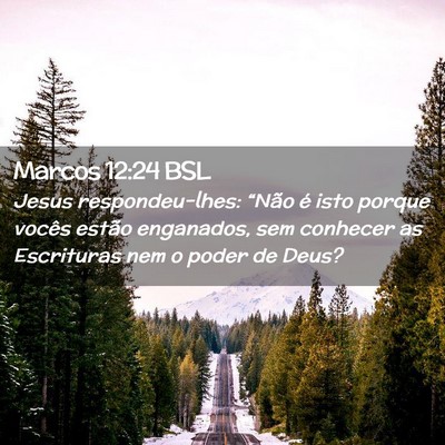 Picture 02 - Marcos 12:24 BSL - Jesus respondeu-lhes: “Não é isto porque - Bible Verse Picture