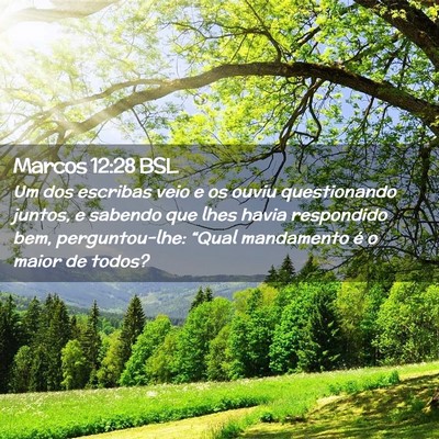 Picture 02 - Marcos 12:28 BSL - Um dos escribas veio e os ouviu questionando - Bible Verse Picture