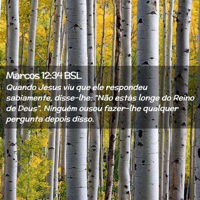 Picture 02 - Marcos 12:34 BSL - Quando Jesus viu que ele respondeu sabiamente, - Bible Verse Picture