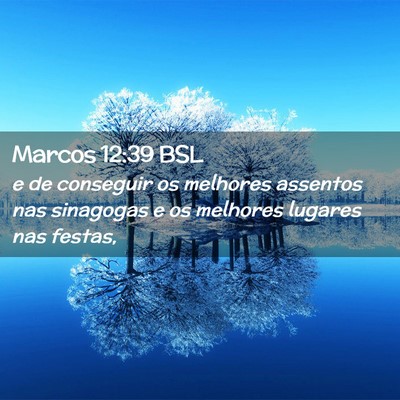 Picture 02 - Marcos 12:39 BSL - e de conseguir os melhores assentos nas sinagogas - Bible Verse Picture