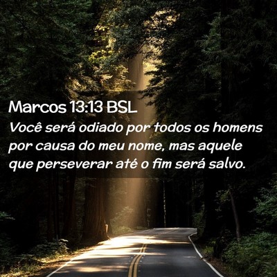 Picture 02 - Marcos 13:13 BSL - Você será odiado por todos os homens por causa - Bible Verse Picture