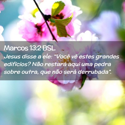 Picture 02 - Marcos 13:2 BSL - Jesus disse a ele: “Você vê estes grandes - Bible Verse Picture