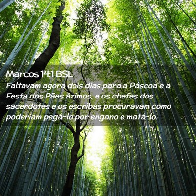Picture 02 - Marcos 14:1 BSL - Faltavam agora dois dias para a Páscoa e a Festa - Bible Verse Picture