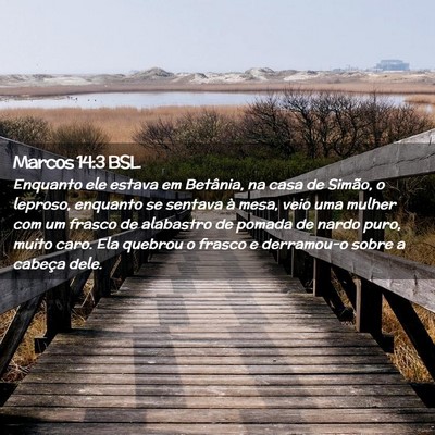 Picture 02 - Marcos 14:3 BSL - Enquanto ele estava em Betânia, na casa de - Bible Verse Picture