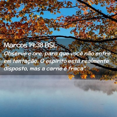 Picture 02 - Marcos 14:38 BSL - Observe e ore, para que você não entre em - Bible Verse Picture
