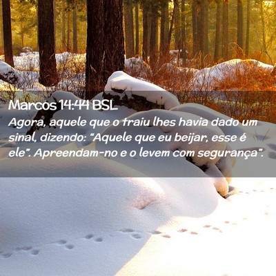 Picture 02 - Marcos 14:44 BSL - Agora, aquele que o traiu lhes havia dado um - Bible Verse Picture
