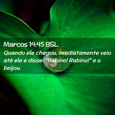 Picture 02 - Marcos 14:45 BSL - Quando ele chegou, imediatamente veio até ele e - Bible Verse Picture