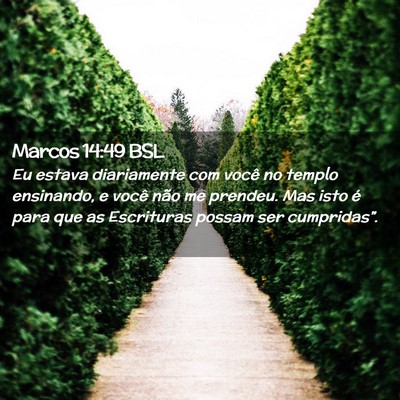 Picture 02 - Marcos 14:49 BSL - Eu estava diariamente com você no templo - Bible Verse Picture