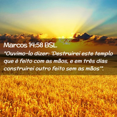 Picture 02 - Marcos 14:58 BSL - “Ouvimo-lo dizer: 'Destruirei este templo que - Bible Verse Picture