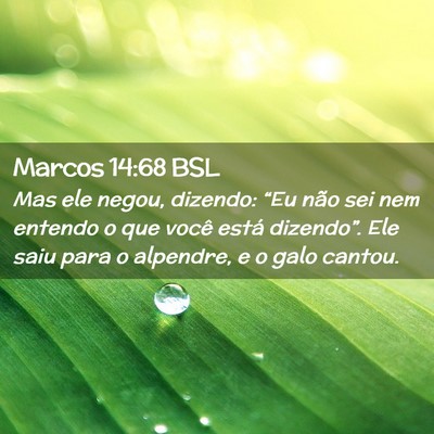 Picture 02 - Marcos 14:68 BSL - Mas ele negou, dizendo: “Eu não sei nem - Bible Verse Picture