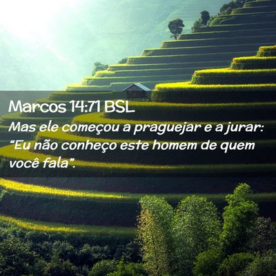 Picture 02 - Marcos 14:71 BSL - Mas ele começou a praguejar e a jurar: “Eu - Bible Verse Picture