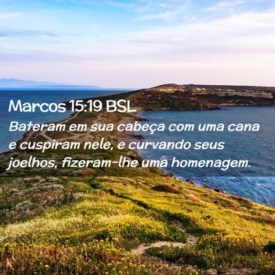 Picture 02 - Marcos 15:19 BSL - Bateram em sua cabeça com uma cana e cuspiram - Bible Verse Picture