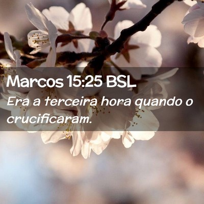 Picture 02 - Marcos 15:25 BSL - Era a terceira hora quando o - Bible Verse Picture