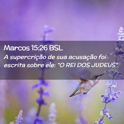 Picture 02 - Marcos 15:26 BSL - A supercrição de sua acusação foi escrita - Bible Verse Picture