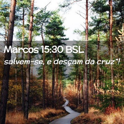 Picture 02 - Marcos 15:30 BSL - salvem-se, e desçam da - Bible Verse Picture
