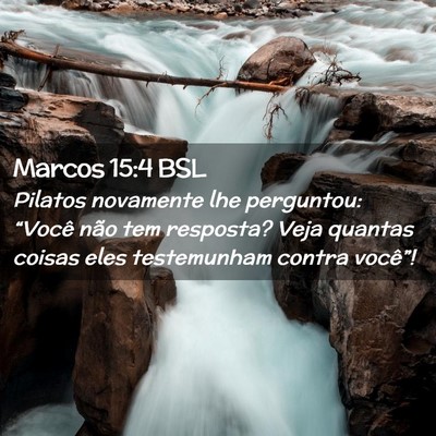 Picture 02 - Marcos 15:4 BSL - Pilatos novamente lhe perguntou: “Você não - Bible Verse Picture