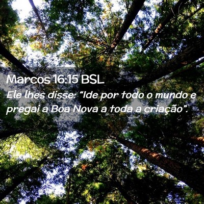 Picture 02 - Marcos 16:15 BSL - Ele lhes disse: “Ide por todo o mundo e pregai - Bible Verse Picture
