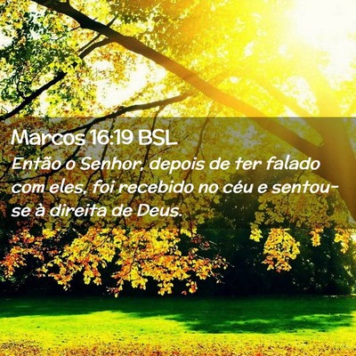 Picture 02 - Marcos 16:19 BSL - Então o Senhor, depois de ter falado com eles, - Bible Verse Picture