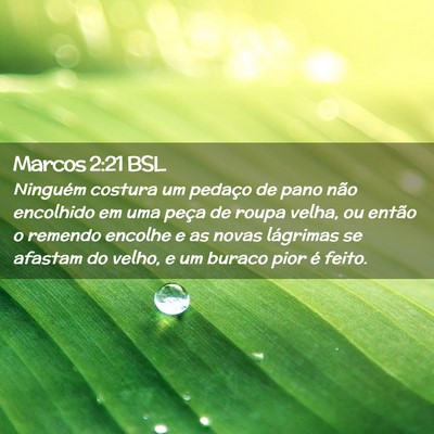 Picture 02 - Marcos 2:21 BSL - Ninguém costura um pedaço de pano não - Bible Verse Picture