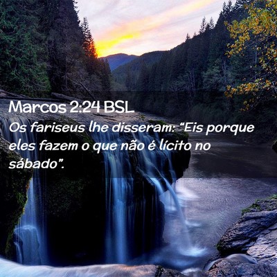 Picture 02 - Marcos 2:24 BSL - Os fariseus lhe disseram: “Eis porque eles - Bible Verse Picture