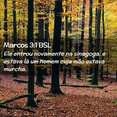 Picture 02 - Marcos 3:1 BSL - Ele entrou novamente na sinagoga, e estava lá um - Bible Verse Picture