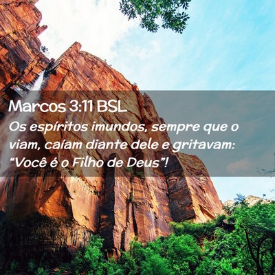 Picture 02 - Marcos 3:11 BSL - Os espíritos imundos, sempre que o viam, caíam - Bible Verse Picture