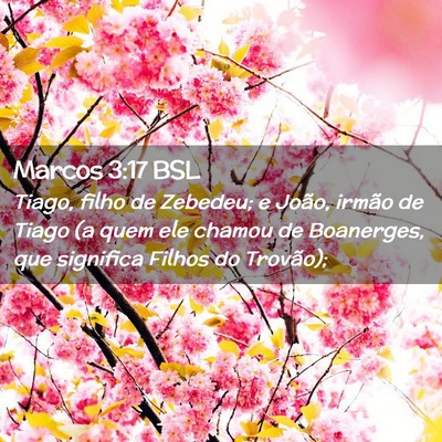 Picture 02 - Marcos 3:17 BSL - Tiago, filho de Zebedeu; e João, irmão de Tiago - Bible Verse Picture