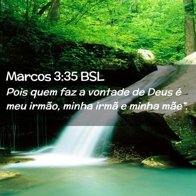 Picture 02 - Marcos 3:35 BSL - Pois quem faz a vontade de Deus é meu irmão, - Bible Verse Picture