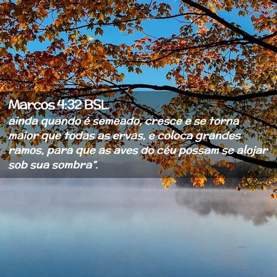 Picture 02 - Marcos 4:32 BSL - ainda quando é semeado, cresce e se torna maior - Bible Verse Picture